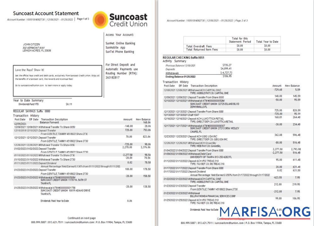 Realistic USA Suncoast bank statement word 1 2 pages real example